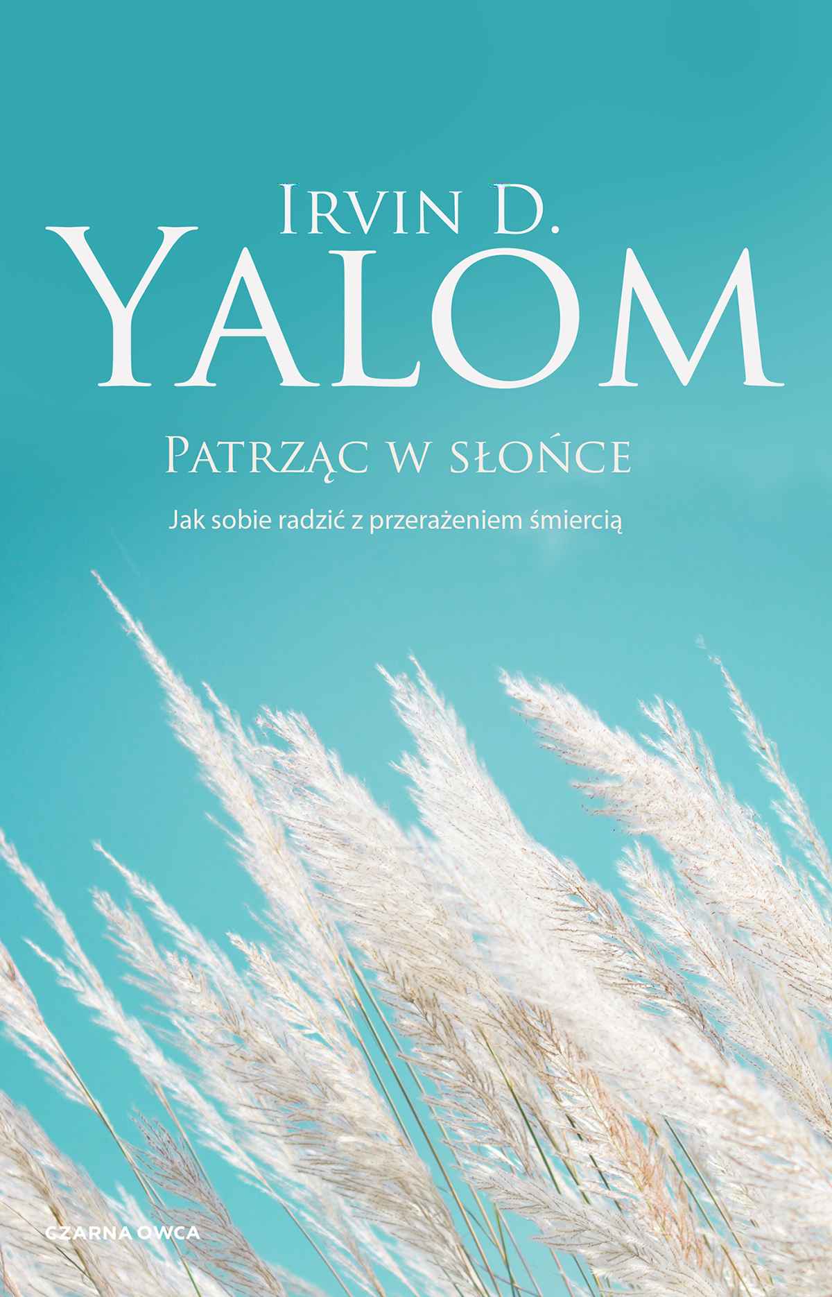 patrząc w słońce