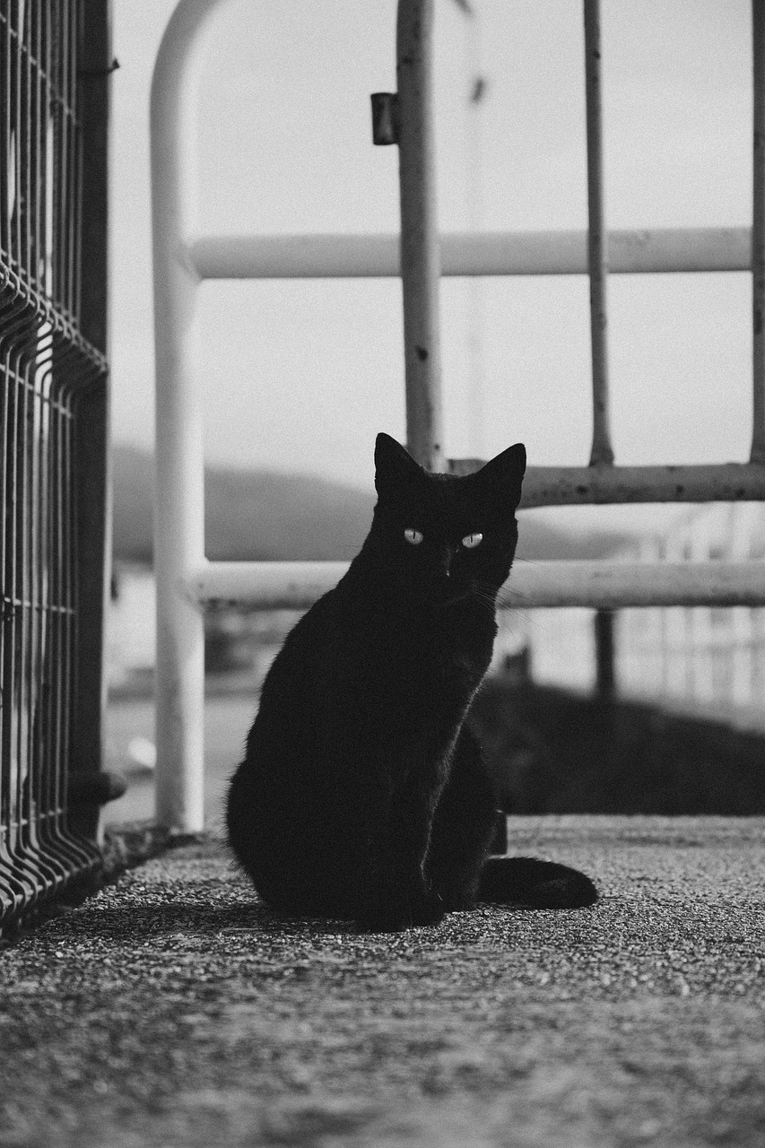 my